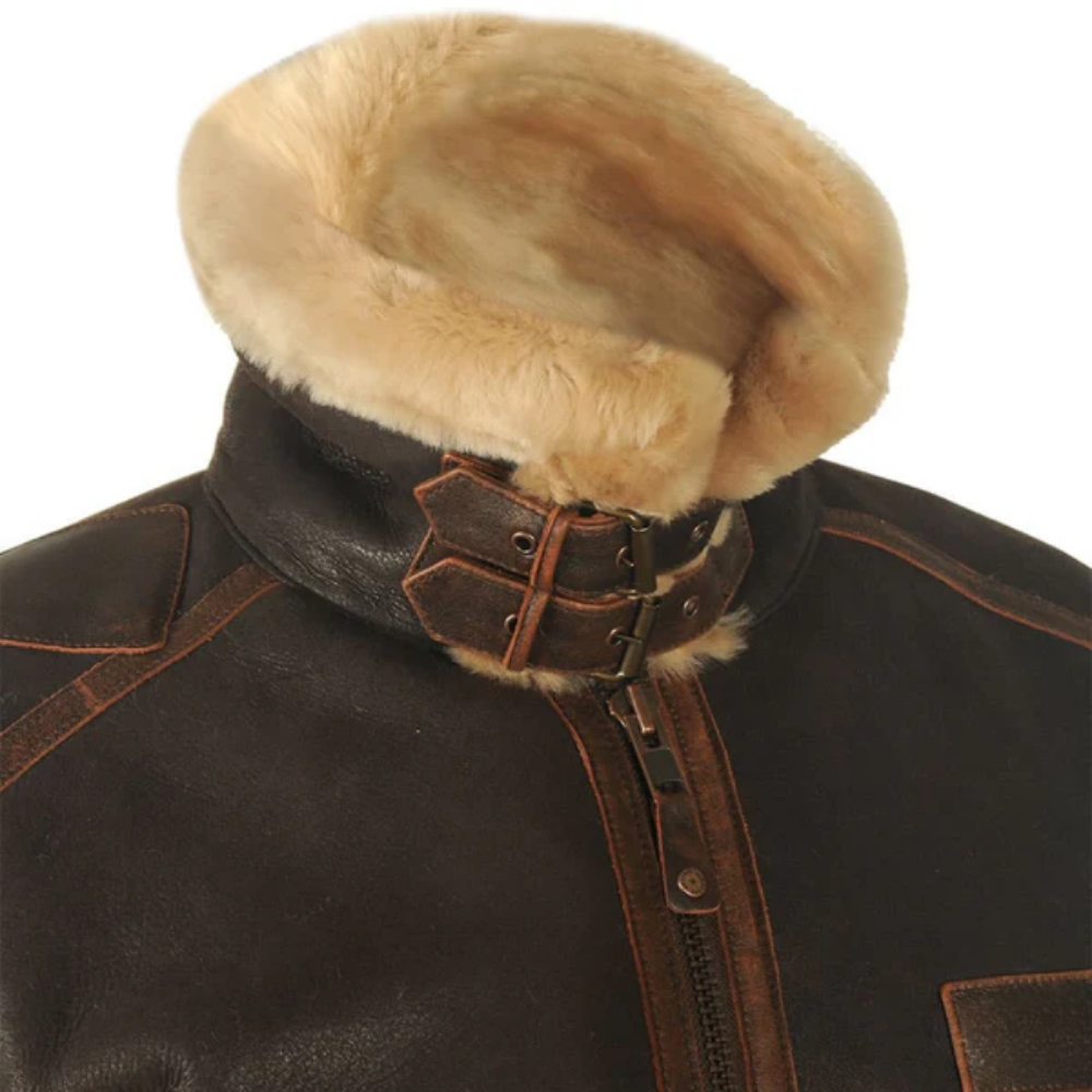 Jaqueta de Couro Brampton Aviator